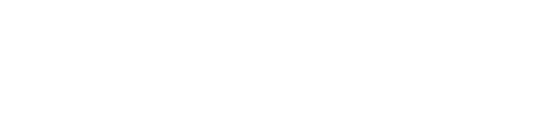 USP 1 Icon